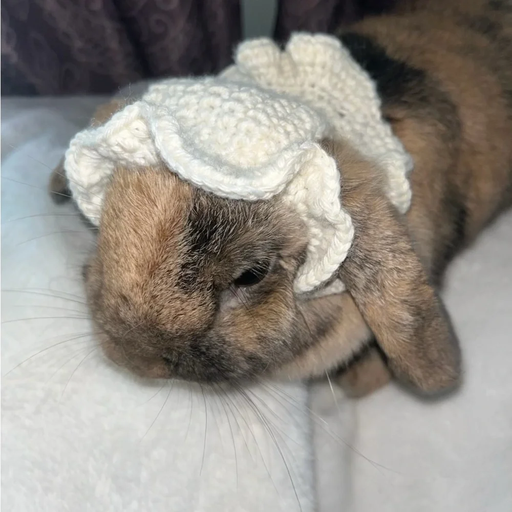 Pet handmade hat. Perfect for bunnies, cats & small dogs.